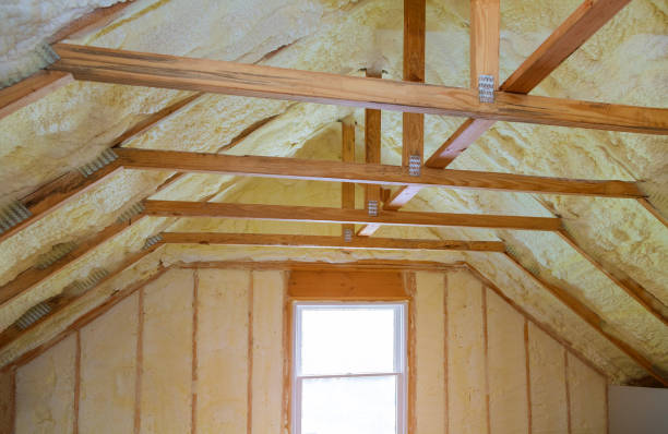 Best Residential Insulation in Frankfort, MI